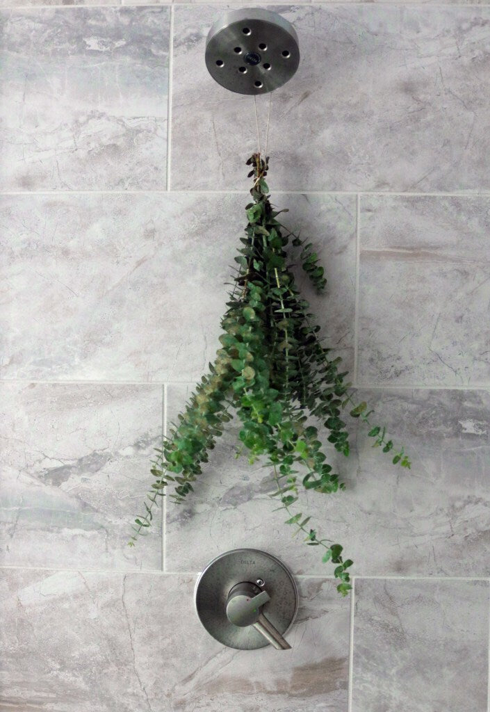 Eucalyptus in beautiful bathroom